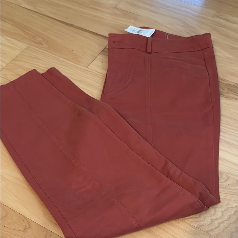 Loft Skinny Ankle Pants Size 12